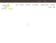 Tablet Screenshot of breedwheat.fr